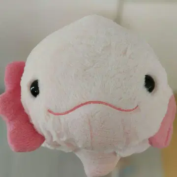 [우파루파] 릴렉스 수족관 우파루파 BIG