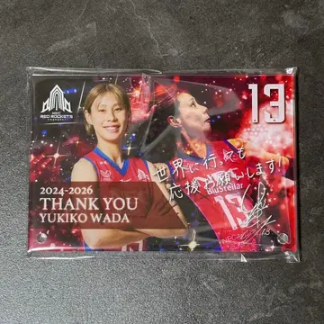 여자 배구 NEC 레드 로케츠 가와사키 와다 유키코 아크릴 프레임 스탠드