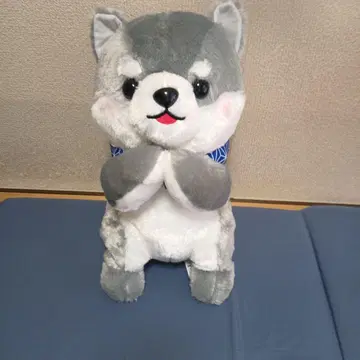 강아지 봉제 인형 파란 오비 포함