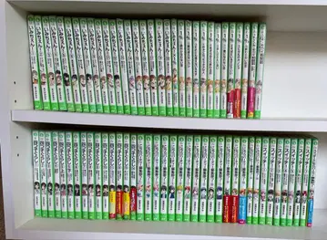 카도카와 츠바사 문고 묶음 판매 이마 체인지 1% 네 쌍둥이 생활 스위치