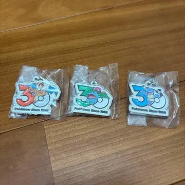 30주년 포켓몬 메탈 참 리자몽 이상해씨 거북왕