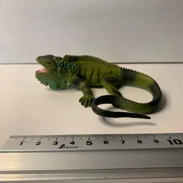 Safari사 이구아나 피규어 약 11cm 2004년제