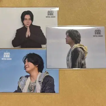 미세스 젠진미도와 이뮤터블 포토 카드 오오모리 모토키 세트