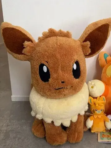 반짝반짝 박스 이브이 봉제 인형