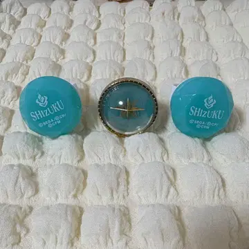 프로세카 히노모리 시즈쿠 린 라이 5th 4th