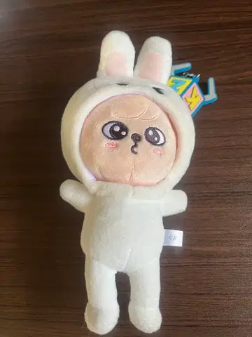 stray kids 팬미팅 백참 퍼핌 리빗