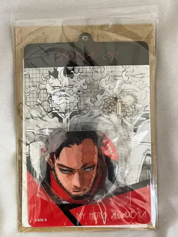 히로아카 엔데버 캔뱃지