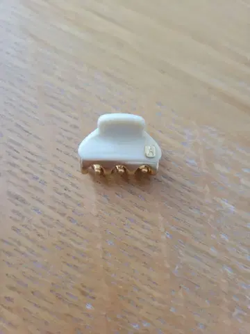 ALEXANDRE DE PARIS 헤어 클립