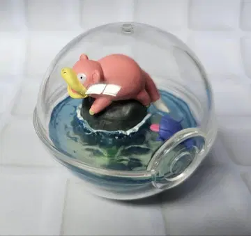 포켓몬스터 테라리움 컬렉션4 야돈 쉘더 리멘트