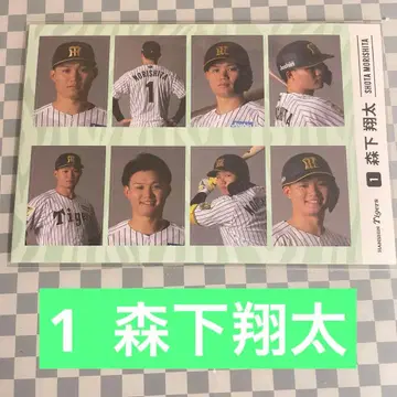 한신 타이거즈 시크릿 증명사진풍 스티커 2026 모리시타 쇼타