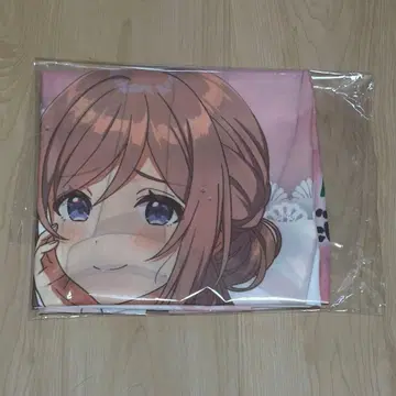 학원 아이돌 마스터 히메사키 리나미 극락탕 노보리 학마스 당선품