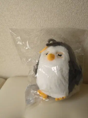 K-POP 펭귄 봉제 인형 18cm 칠렌이