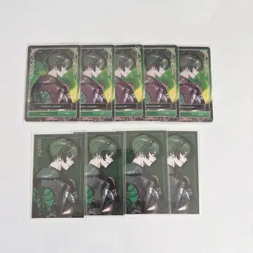 시쿠포니 스치 RAGE 트레이딩 카드 미니 사진 특전