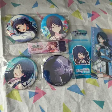 프로세카 호시노 이치카 정리