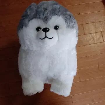 동글동글 강아지 모후마루 울트라 BIG 봉제 인형 허스키