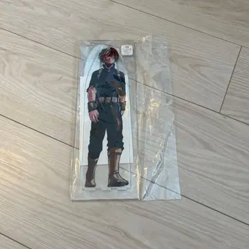 토도로키 쇼토 아크릴 mega 피규어