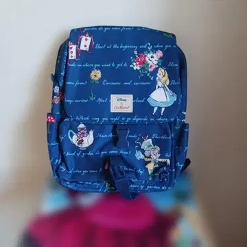 디즈니 캐스 키드슨 앨리스 백팩