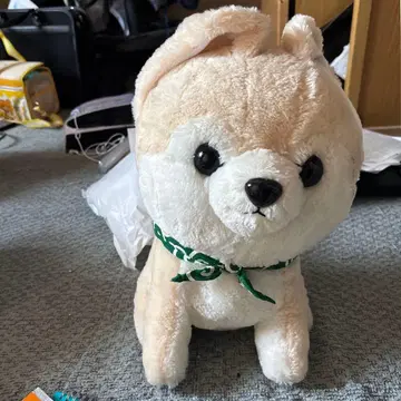 강아지 봉제 인형 중형 베이지와 화이트 BIG 사이즈