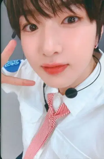 NCT WISH TMON SAKUYA Songbird