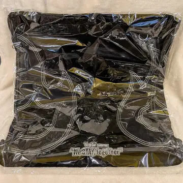 StrayKids We STAY together 냅색