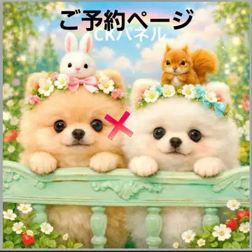 초레어 포메라니안, 말티즈, 치와와, 시츄, 퍼그, 시바견 패널 원단