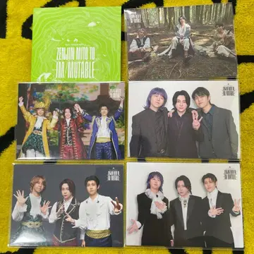 미세스 젠진 이뮤터블 포토 카드 집합 컴프