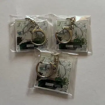 크로노바 Rise of Re:Virth 특전 카나메