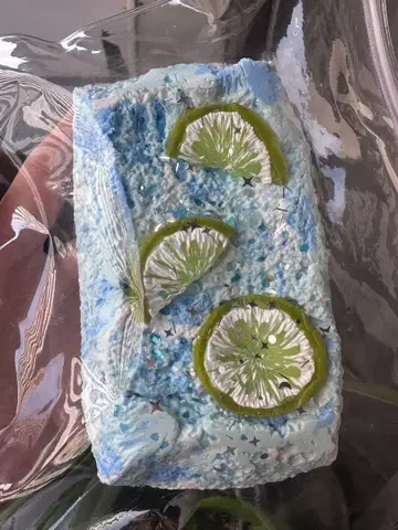 청레몬 카보스 직사각형 토스트 스타 가든 스퀴즈 새상품급 스퀴즈