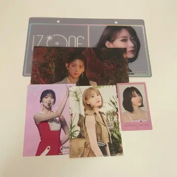 사쿠라 iz*one 명찰 포토 카드 브로마이드 트레이딩 카드 세트