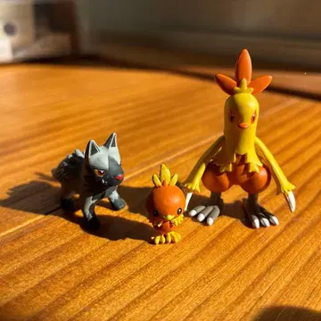 포켓몬 스케일 월드 호연지방 아차모 & 영치코 & 포치에나