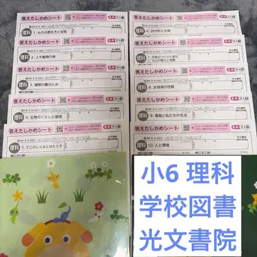 정답 확인 시트 초6 과학