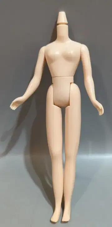 네오 브라이스 바디