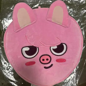 Stray Kids 부채 커버 창빈