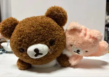 갈색 곰과 사이좋은 봉제 인형