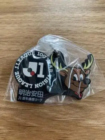 J1 리그 100주년 메이지 야스다 키링