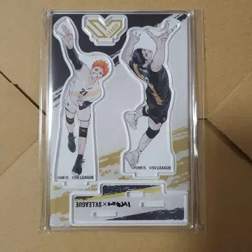 하이큐!! 아크릴 스탠드 히나타 쇼요 카게야마 토비오