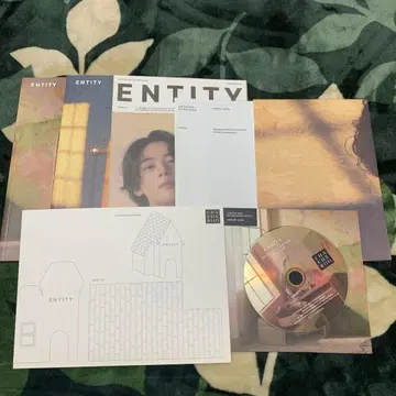 차은우 엔티티 이퀄 버전