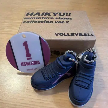 하이큐!! 미니어처 신발 컬렉션 vol.2 우시지마 와카토시