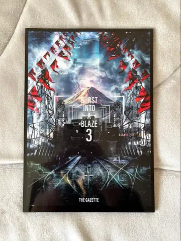 the GazettE PAMPHLET BURST INTO A BLAZE