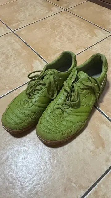 한정 컬러 Desporte 데스포르치 카니피나스jp III 27.5