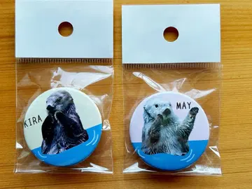 도바 수족관 랏코 키라 메이 캔뱃지