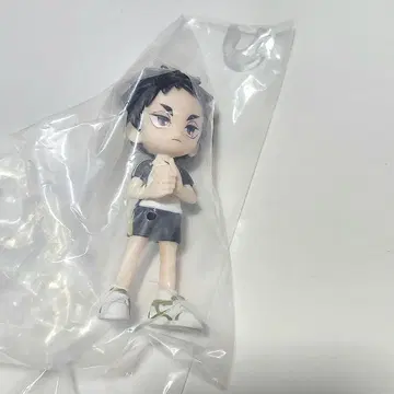 하이큐!! 아카아시 팔버스