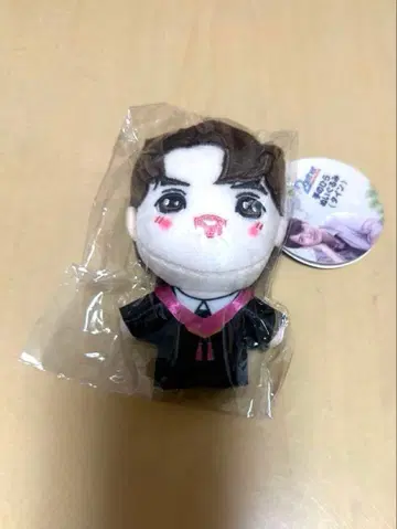 2gether THE MOVIE 손바닥 봉제 인형 타인