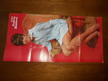 오드리 헵번 포스터 (쇼와)