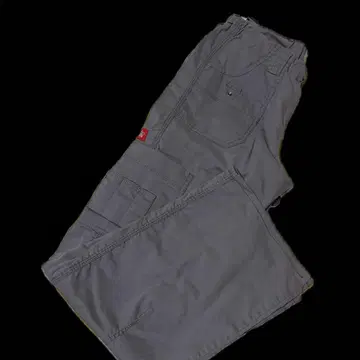 Dickies의 그레이 카고 팬츠