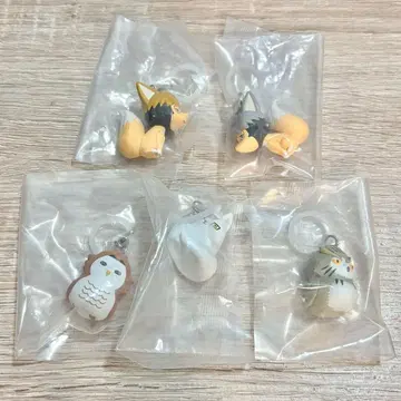 하이큐 메지루시 컴플리트