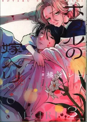 소학관 우라 소년 선데이 코믹스 타치바나 오레코 반딧불이의 신부 3