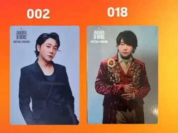 미세스 젠진 이뮤터블 포토 카드