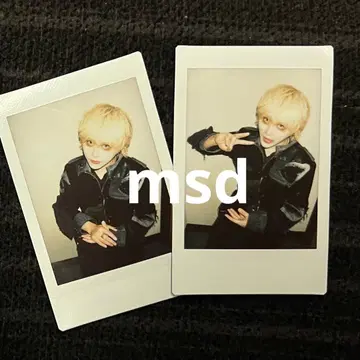 자아자아 봄눈꽃 폴라로이드