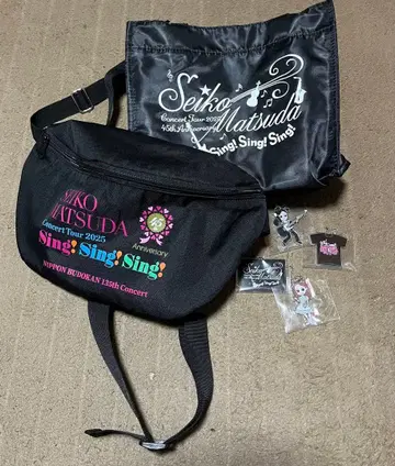 마츠다 세이코 콘서트 백 2025 외